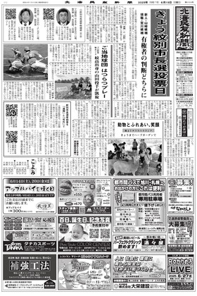 表紙画像