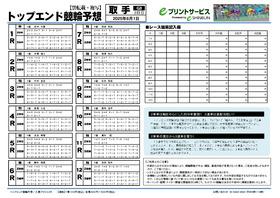電子版